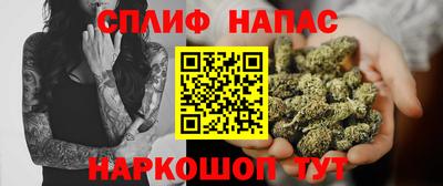 прущие грибы Ноябрьск