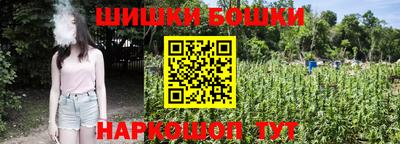прущие грибы Ноябрьск