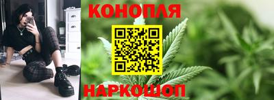 прущие грибы Ноябрьск