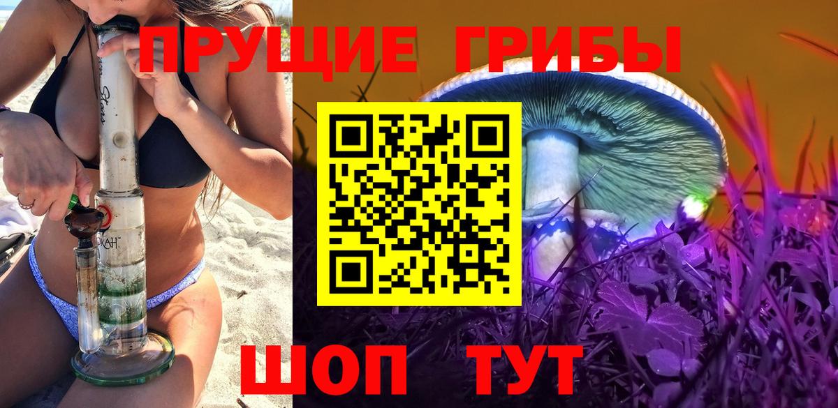 Галлюциногенные грибы Psilocybine cubensis  Вход с VPN  Кореновск  Галлюциногенные грибы мухоморы 