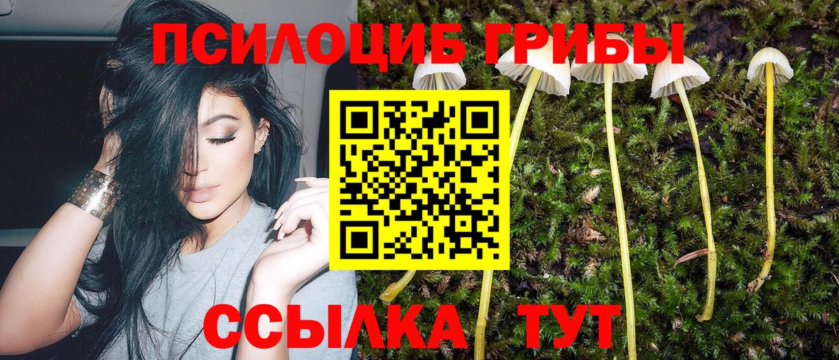 Псилоцибиновые грибы ЛСД Кореновск