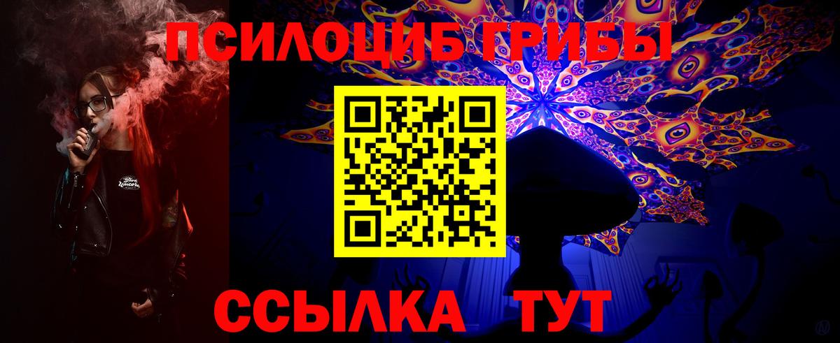 Галлюциногенные грибы Psilocybine cubensis  Кореновск  Галлюциногенные грибы GOLDEN TEACHER 