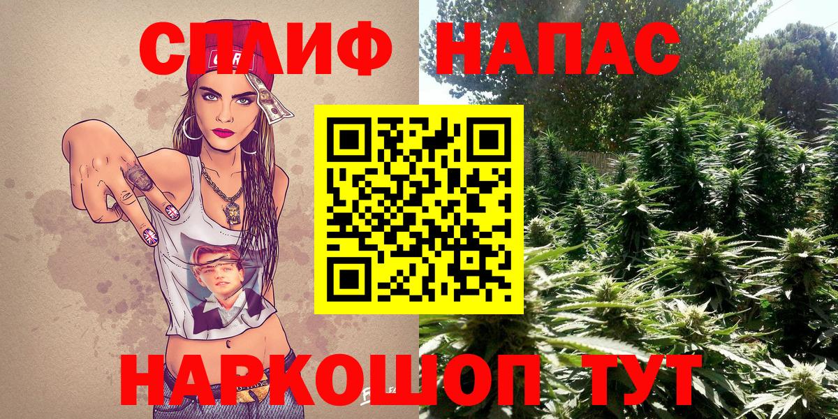 Канабис ГИДРОПОН  Каннабис конопля  Каннабис конопля  Кореновск 